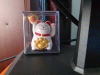 COMPRESSED_IMG_20251106_102246_8906093953916777179.jpg