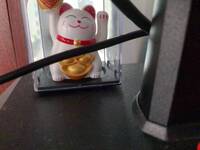 COMPRESSED_1764231799336.jpg