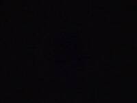 COMPRESSED_1765428223392.jpg