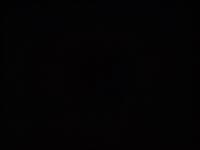 COMPRESSED_upload_1773376649991.jpg