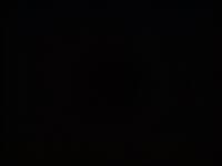 COMPRESSED_upload_1773388382603.jpg
