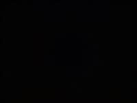 COMPRESSED_upload_1773389505523.jpg