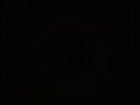 COMPRESSED_upload_1773389948694.jpg