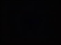 COMPRESSED_upload_1773390178598.jpg