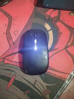 COMPRESSED_upload_1773905289643.jpg