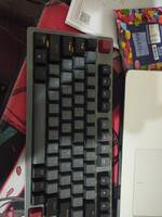 COMPRESSED_upload_1773916521987.jpg