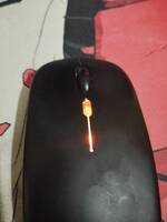 COMPRESSED_upload_1773917933724.jpg