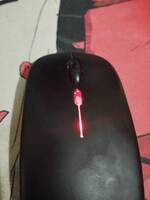 COMPRESSED_upload_1773917933663.jpg